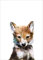 Postkarte A6 +++ JUNIQE von modern times +++ LITTLE WOLF +++ JUNIQE © HAMILTON, Amy