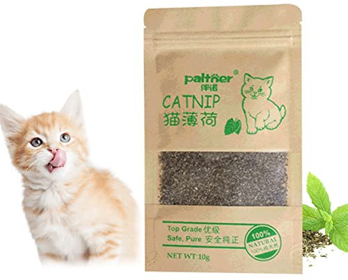 SEMINISMAR Herbe A Chat, Cataire pour Chats, A Utiliser comme encas ou Jouet pour Le Chat, Herbe à Chat Naturelle de qualité supérieure - Plante d'herbes à Chat et Chaton délicatement séchée