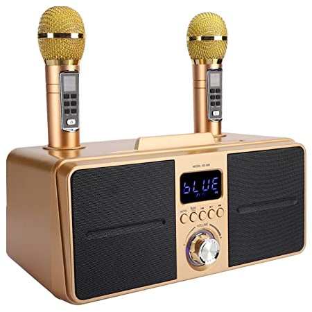 Karaoke Machine, Real Stereo Sound Effect, Bluetooth Connection, with 2 Wireless Microphone, Long Service Life, Family KTV Sound Kit for Party, Meeting, Wedding, Picnic(Gold)