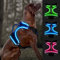 Bpawser Light Up Hundegeschirr LED Hundegeschirr No-Pull mit Griff Wiederaufladbare beleuchtete Hundeweste Geschirr Hundegeschirr für X-Small Small Medium Large X-Large Größe (Blau,M)
