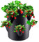 Tour de plantation pour fraises - Pot de fleurs pour jardin de fraises avec 6 poches latérales - Jardinière pour fraises pour l'extérieur, 7 gallons de fraises