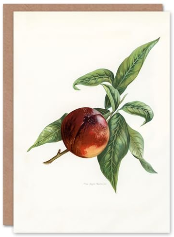Artery8 John Wright Art Card Vintage Illustration of Pine Apple Nectarine