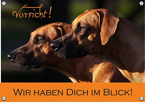 Petsigns Rhodesian Ridgeback - Hundeschild - Warnschild - massives Metallschild, 3. DIN A3