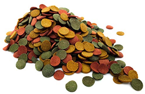 Heron's Pet World HERONS - Algae Wafer Mix - 16 mm Sinking Wafers with Spirulina - For All Bottom Feeding Fish - With Vitamins and Minerals - Enhance Colour and Improves Digestion - 50 Grams