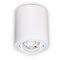 INNOVATE LED Aufbauspot - 35° schwenkbare Aufbauleuchte - kompakter Aufputz Deckenspot - moderner IP20 Aufbaustrahler GU10 Fassung - flaches Downlight excl. Leuchtmittel (1 Stück, Weiß Rund)