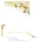 Briefpapier-Set Orchidee hell DS104 – 10 Blatt Designpapier, 10 Umschläge B6 mit Motiv bedruckt – Hochwertiges Motivpapier, Brief, Jubiläum, Einladung, Geburtstag, Liebesbrief, Orchidee – 90 g/m²