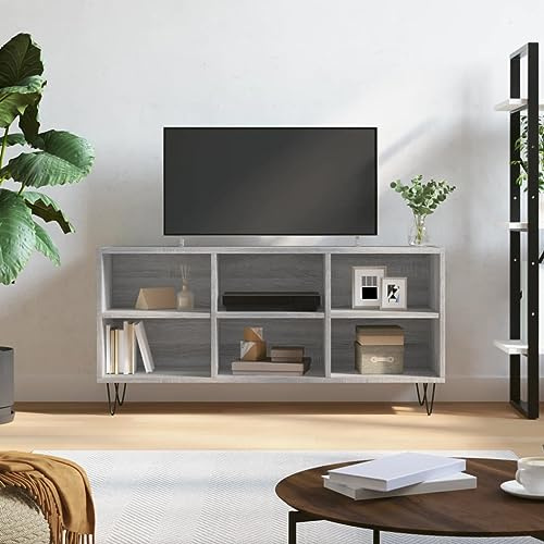 QJBSAVVA TV-Schrank Grau Sonoma 103,5x30x50 cm Holzwerkstoff mit Eisenbeinen Modernes Lowboard mit 6 Fächern Stabiler Fernsehtisch für Wohn- und Schlafzimmer