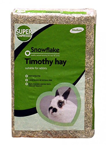 Snowflake Timothy Hay, Medium