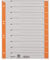 Leitz 1652-00-45 Trennblätter 230g/qm Inh.100, orange