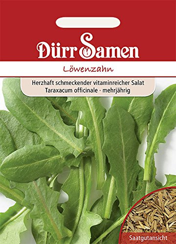 Dürr-Samen - Löwenzahn Saatgut