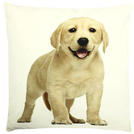 cushion canvas labrador blond