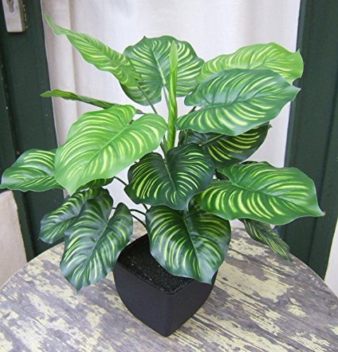 Künstliche Calathea Pflanze im Topf ca. 45cm -Top Qualität Kunstpflanzen