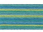 1x Anchor Sticktwist Farbe: 1345 - multicolor