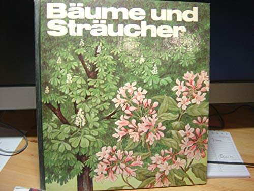 Bäume und Sträucher.