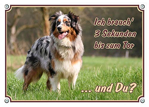 Petsigns Australian Shepherd Hundeschild - wetterfestes Metallschild, DIN A4