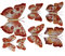 7 Set 3D Schmetterlinge Wandtattoo Wanddeko Wandtatoo Wandaufkleber (Orange)
