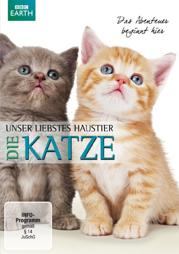 Unser liebstes Haustier - Die Katze
