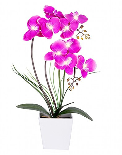 HOMESEASONS Vorbeleuchtetes künstliches Orchideen-Arrangement, LED Orchidee Pflanze mit 9 Lichtern (lila, Keine Timer-Funktion)