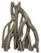 Nobby Aqua Ornaments MANGROVE, 29 x 15 x 36,5 cm, 1 Stück