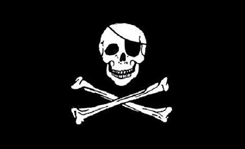 U24 Fahne Flagge Pirat Bootsflagge Premiumqualität 20 x 30 cm