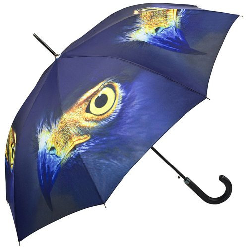 VON LILIENFELD Regenschirm Adler Blau Auge Auf-Automatik Windfest Stabil Stockschirm Damen Herren