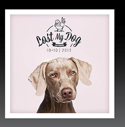 Lost My Dog 10x10 - 2013
