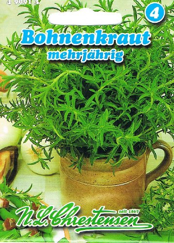 Bergbohnenkraut Bohnenkraut mehrjährig