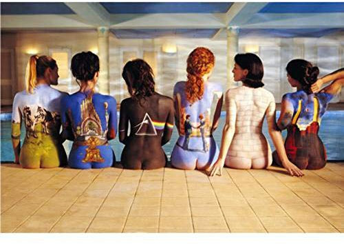 GB eye Pink Floyd Back Catalogue 61 x 91,5 cm / 24,2 x 35,8 Zoll Maxi-Poster – Gerollt geliefert – Kunstposter – Wandposter – Poster & Drucke | Pink Floyd Merchandising