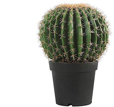 kunstpflanzen-discount.com Künstlicher Goldkugelkaktus mit 40cm Durchmesser im Topf - Runder Kaktus Schwiegermuttersessel