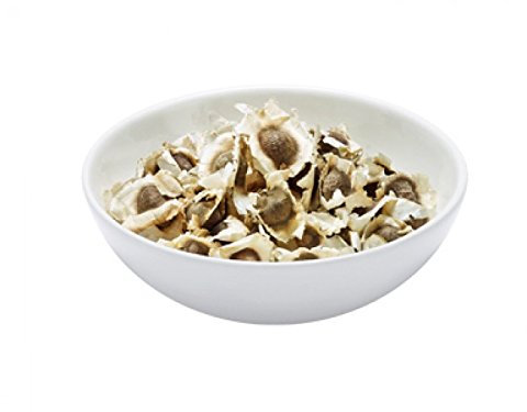 20 Moringa Samen aus dem MoringaGarden Teneriffa