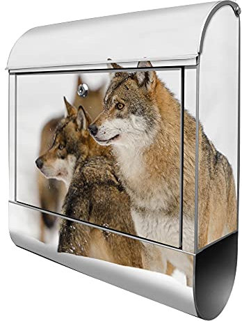 banjado® Design Briefkasten mit Wölfe 38,5x46,5x13cm & 2 Schlüssel - Briefkasten Stahl Silber mit Zeitungsfach pulverbeschichtet - Postkasten A4 Einwurf inkl. Montagematerial