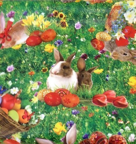KEVKUS Wachstuch Tischdecke Ostern Osterhase K1428069 Rollenware 140 cm Breite 20 Meter Länge