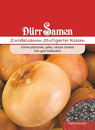 Zwiebel Samen Stuttgarter Riesen Zwiebelsamen ca 600 Korn Gemüse Gemüsesamenwürzig milden Geschmack Dürr Samen