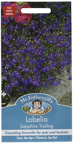Mr Fothergill's 16814 Flower Seeds, Lobelia Sapphire Trailing, Blue