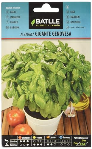 Semillas Batlle - Albahaca GIGANTE Genovesa, Color Verde