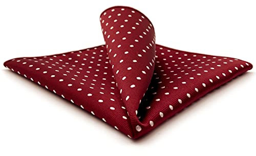 S&W SHLAX&WING Men Herren Einstecktücher 32cm Punkte Rot