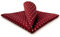 S&W SHLAX&WING Men Herren Einstecktücher 32cm Punkte Rot