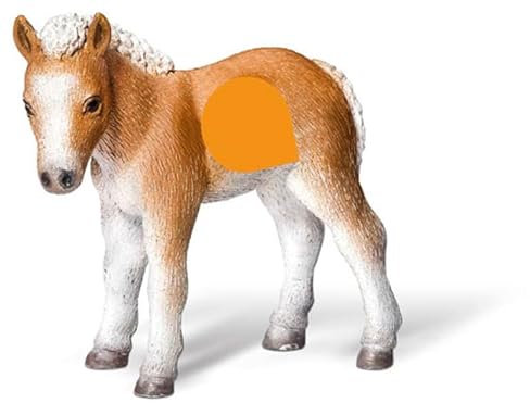tiptoi® Falabella Fohlen