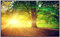 Ecowelle Infrarotheizung mit Bild | 900 Watt | 60x120 cm | Infrarot Heizung| | Made in Germany| d 39 Sonnenaufgang mit Baum