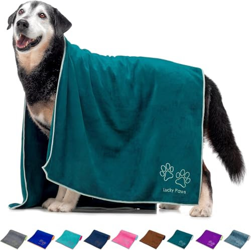 Lucky Paws® Hundehandtuch - 140x70cm XL Hundehandtuch extra saugfähig - schnell trocknend, luxuriös weiches Hunde Handtuch Hundebesitzer und Hunde Zubehör (1er-Pack, Teal)