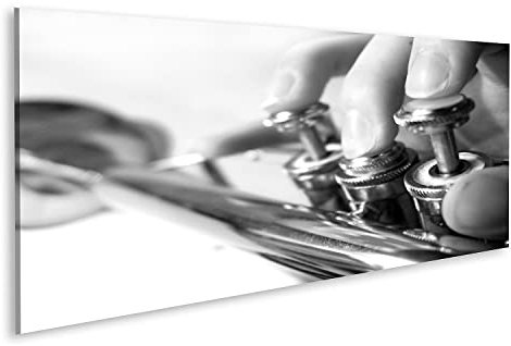 islandburner Bild auf Leinwand Trompeten Spieler SW Nahaufnahme Bilder Wandbilder Poster HLJW-Pano