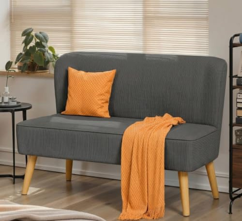 Blishom 2-Sitzer Sofa, Kleiner Loveseat, Kleiner Couch, Grau | Mit Samtoptik-Bezug, platzsparender für Schlafzimmer, Wohnzimmer, Wohnung, 119x56x78cm
