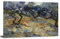 Vincent Van Gogh Gemälde Olivenbäume Poster dekorative Malerei Leinwand Wandkunst Wohnzimmer Poster Schlafzimmer Malerei 30 x 45 cm