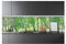 WallArena - Vlies Fototapete Küche Abwaschbar Wald Birken Küchentapete 250x60 - Fototapeten - Tapeten - für Wohnzimmer Schlafzimmer - Vliestapete Wandtapete Tapete 3D Effekt- inkl. Kleister