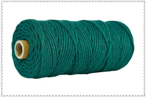 RAEF Handgefertigtes Boho-Dekor, 3 mm, Bunte Baumwollschnur, Seilfaden, gedrehte Makramee-Schnur, DIY, Zuhause, Hochzeit, Dekoration, 110 Yards