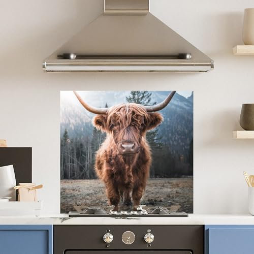 Premium (w)70cm x (h)65cm Highland Cow Glass 6mm Kitchen Splashback Heat Resistant Toughened Polished Edges - Back Splash Back Coloured Hob Painted Tempered Splashback