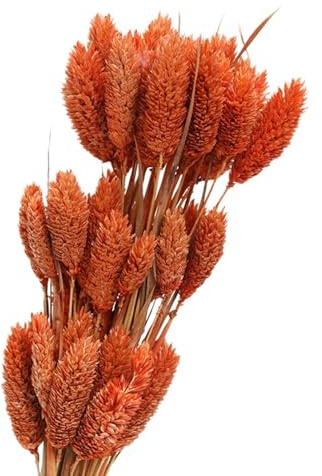 FytStycale 50 Pezzi Bouquet di Fiori Secchi Ornamento Floreale Decorazione Rustica Autunnale Materiale Naturale Adatto per Matrimonio Festa Decorazione Casa Uff, Arancione