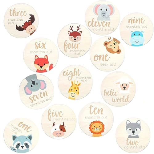 13 Piezas Tarjetas de Hitos Mensuales de Bebés, Tarjetas Madera Cumple Mes, Hitos De Madera Cumple Mes Bebe Nacido Regalo, Accesorios Para Fotos, Regalo Para Futuras Madres Padres