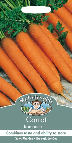 Mr Fothergill's 18743 Vegetable Seeds, Carrot Romance F1
