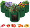 LITLANDSTAR Potato Growing Bag, 5-Pack 15 Gallonen Vegetable Growing Plant Bags mit Sichtfenster und Griffen für Gemüse, Obst, Blumen, Kartoffel (Grün)